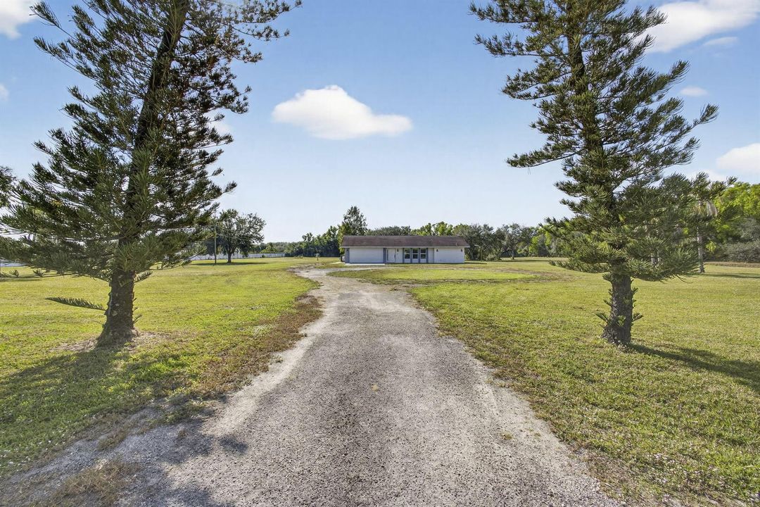 2-web-or-mls-BS1A9423