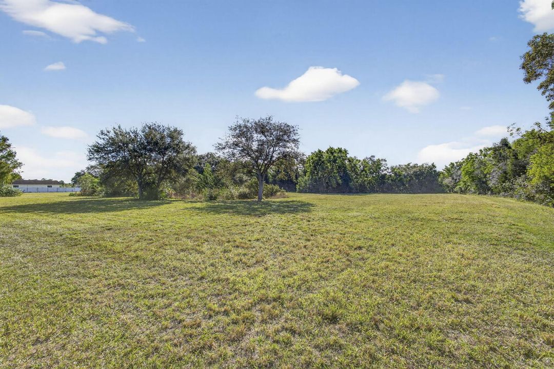 53-web-or-mls-BS1A9375