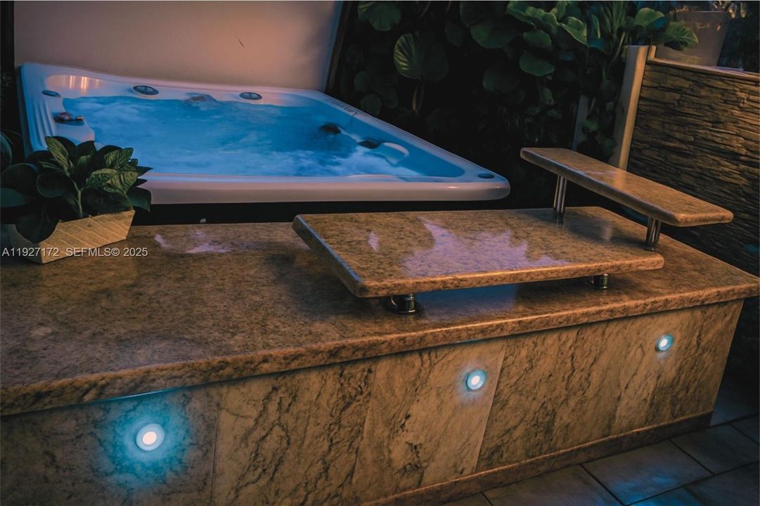 Resort style jacuzzi with bar