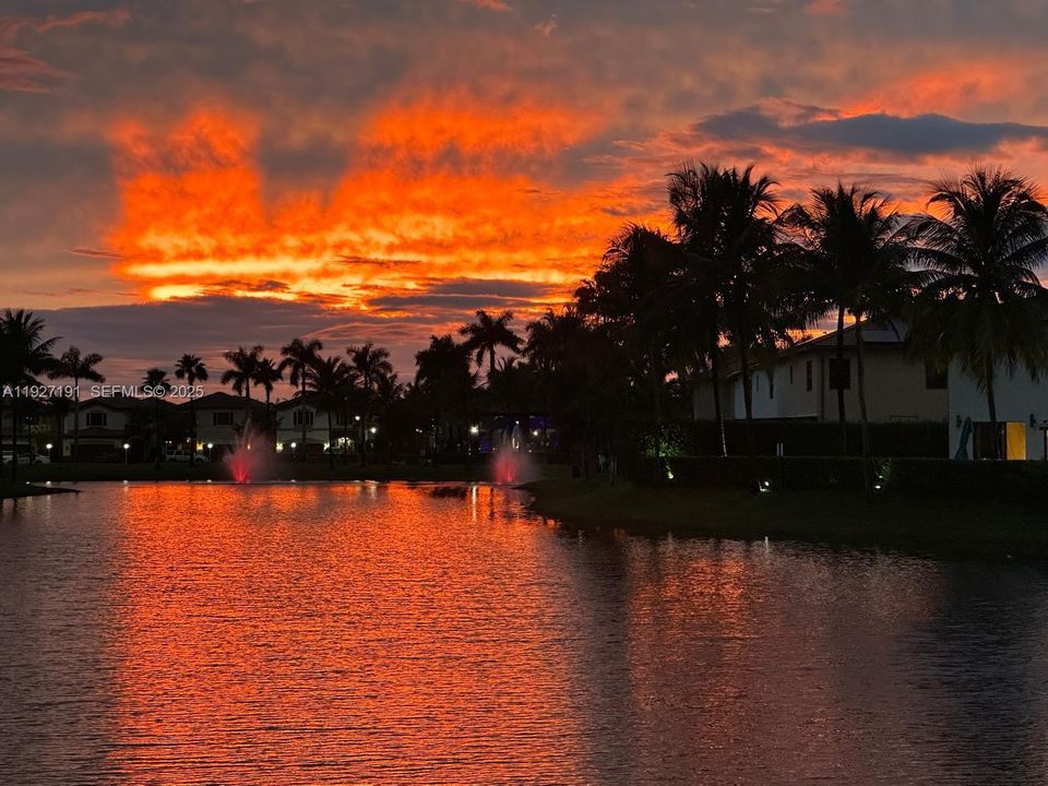 backyard view at sunset