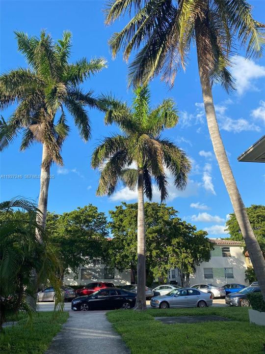 For Rent: $1,800 (1 beds, 1 baths, 592 Square Feet)