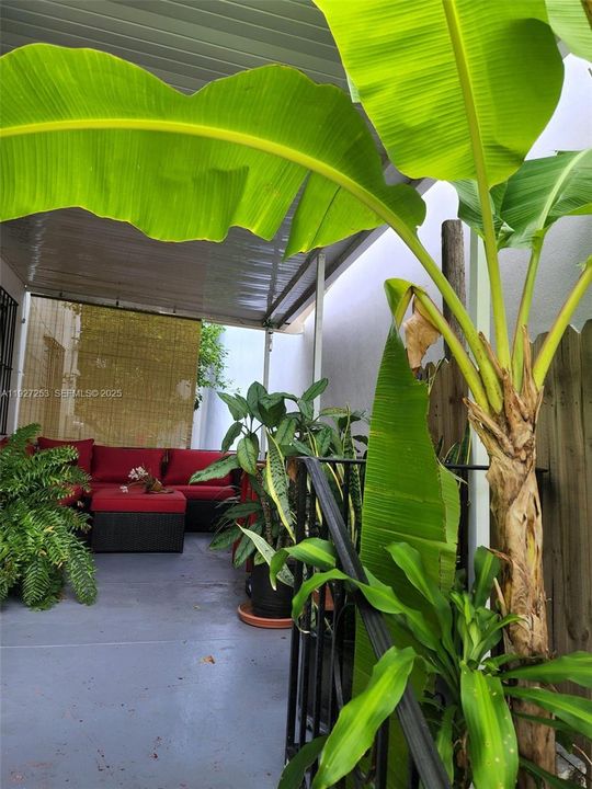 En Venta: $3,800,000 (0 camas, 0 baños, 3372 Pies cuadrados)