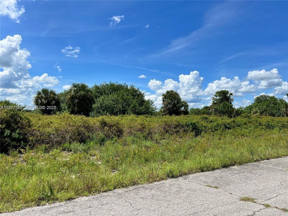 For Sale: $36,000 (13,939 sqft)