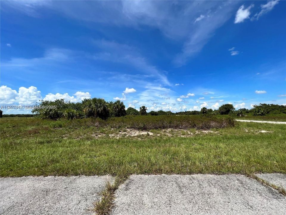 For Sale: $36,000 (13,939 sqft)