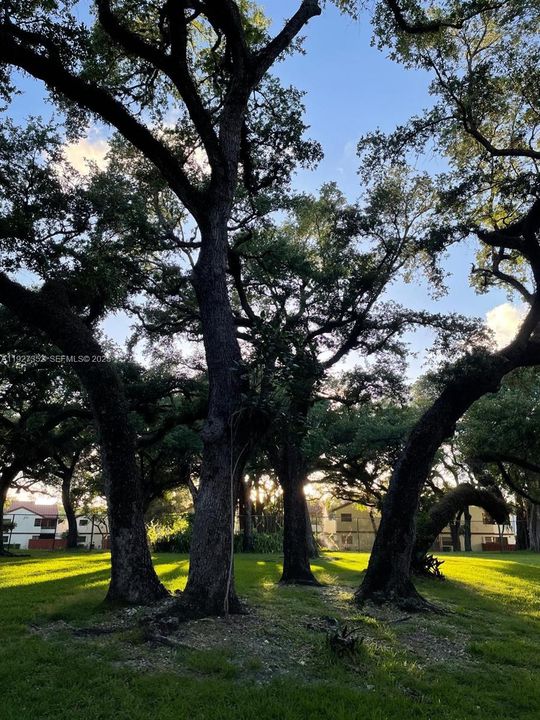 For Rent: $2,300 (2 beds, 2 baths, 1287 Square Feet)