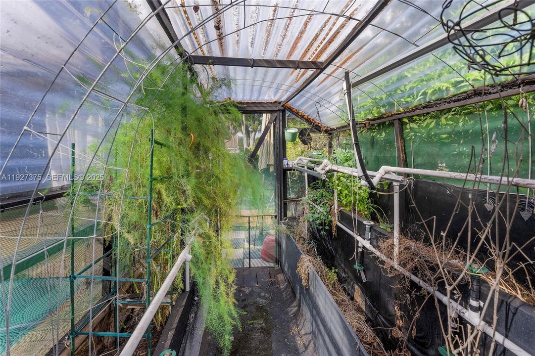 Greenhouse