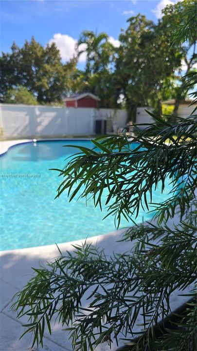 В аренду: $3,500 (3 спален, 1 ванн, 1053 Квадратных фут)