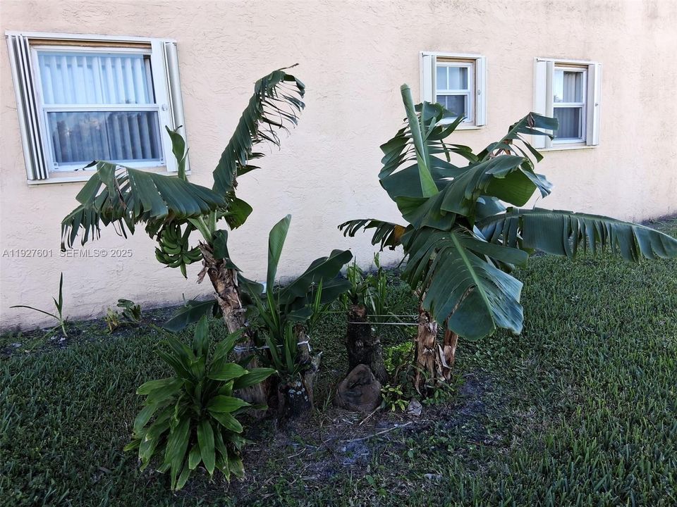 待售: $130,000 (2 贝兹, 2 浴室, 850 平方英尺)