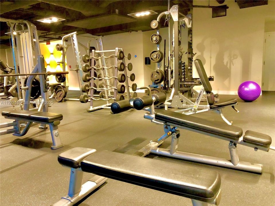 出租: $3,000 (1 贝兹, 1 浴室, 761 平方英尺)