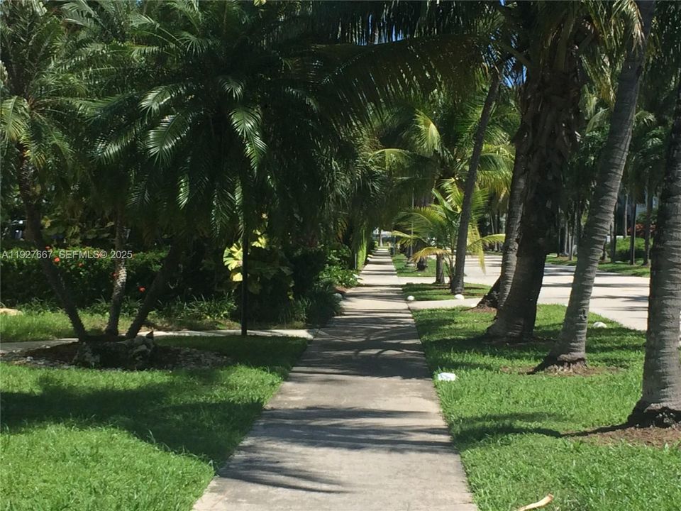 Sidewalk to Beach