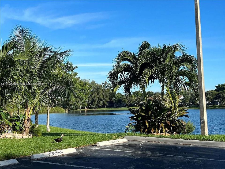 En Renta: $1,850 (1 camas, 1 baños, 786 Pies cuadrados)