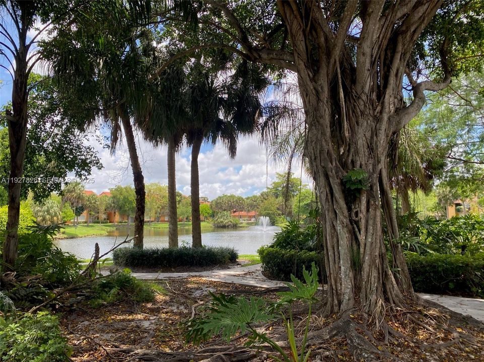 В аренду: $1,795 (1 спален, 1 ванн, 691 Квадратных фут)