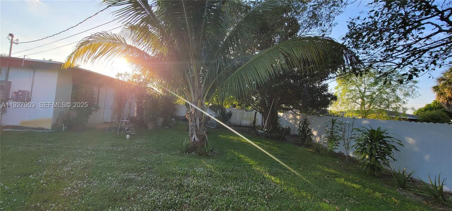 В аренду: $2,500 (2 спален, 1 ванн, 1233 Квадратных фут)