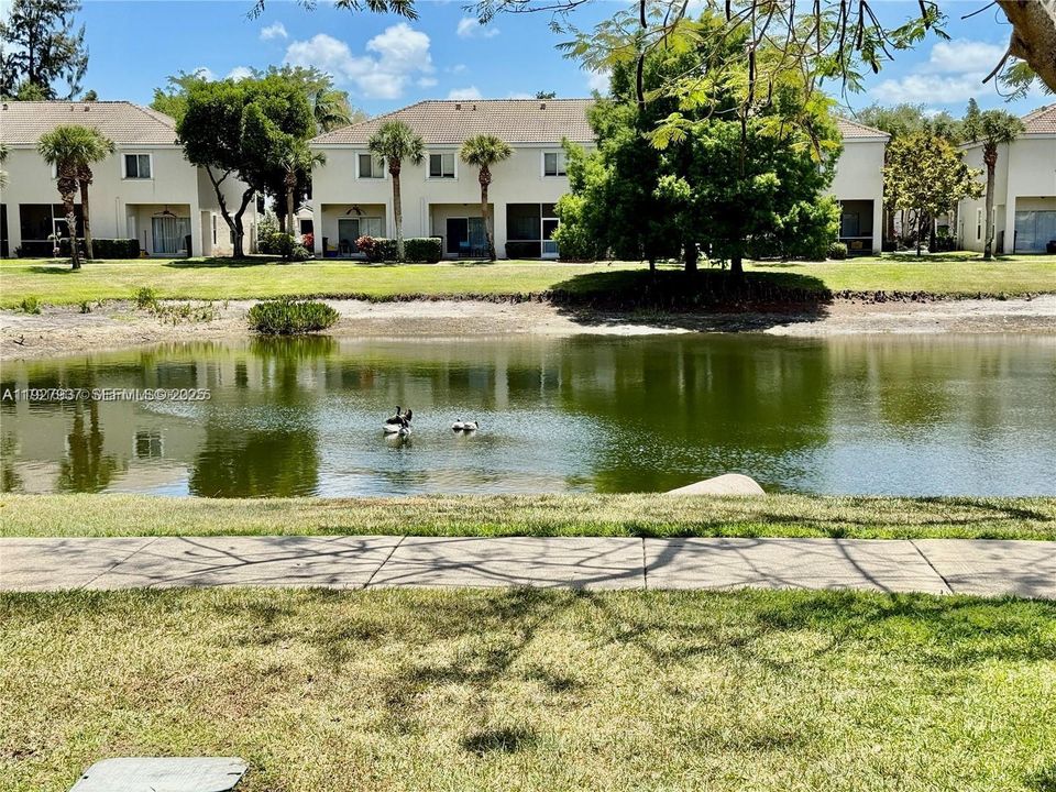 待售: $334,900 (3 贝兹, 2 浴室, 1427 平方英尺)