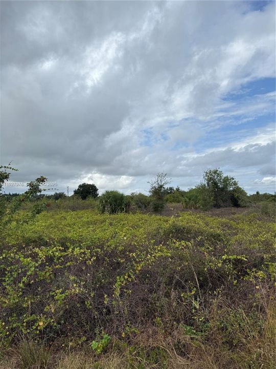 En Venta: $28,500 (0.50 acres)