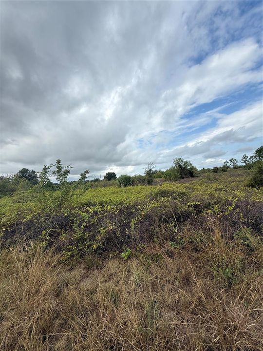 En Venta: $28,500 (0.50 acres)