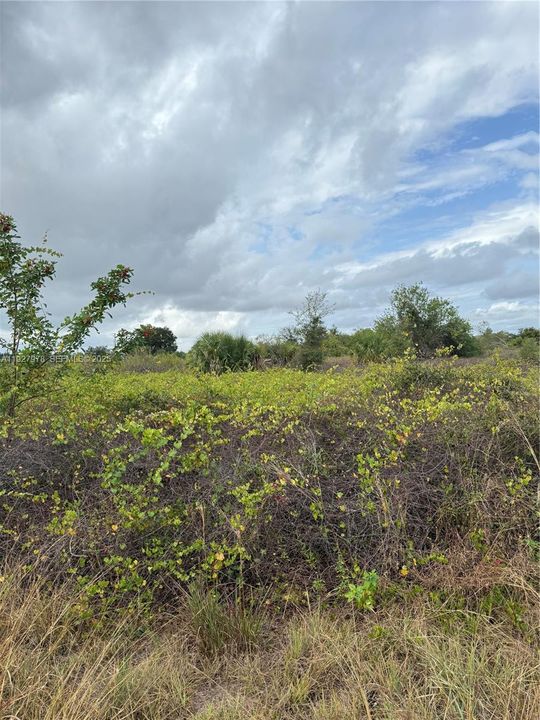 En Venta: $28,500 (0.50 acres)