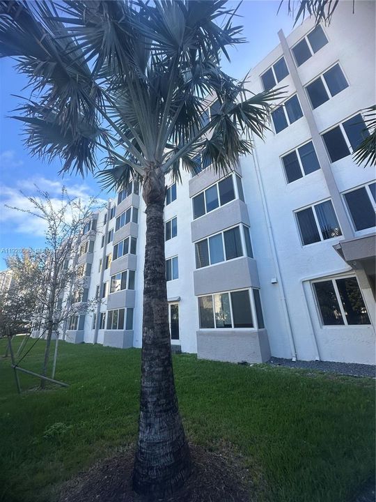 В аренду: $1,775 (1 спален, 1 ванн, 710 Квадратных фут)