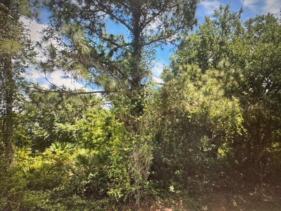 En Venta: $35,000 (0.50 acres)