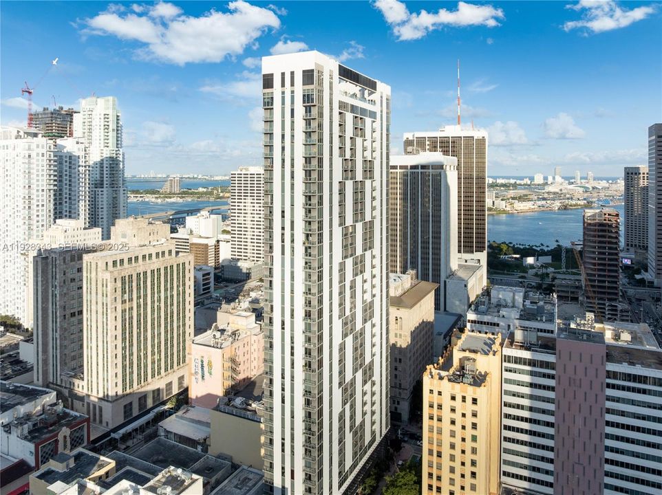 出租: $3,500 (1 贝兹, 1 浴室, 564 平方英尺)