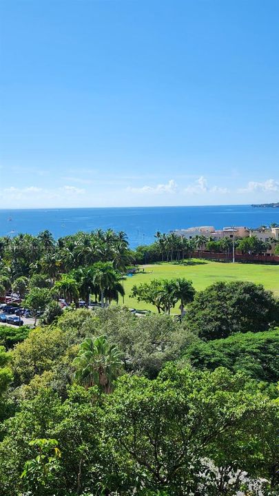 待售: $595,000 (1 贝兹, 1 浴室, 680 平方英尺)