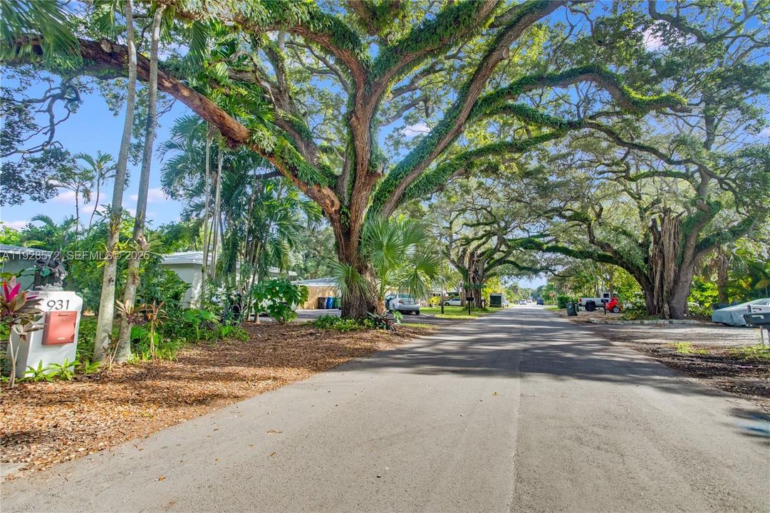 待售: $500,000 (2 贝兹, 1 浴室, 1292 平方英尺)