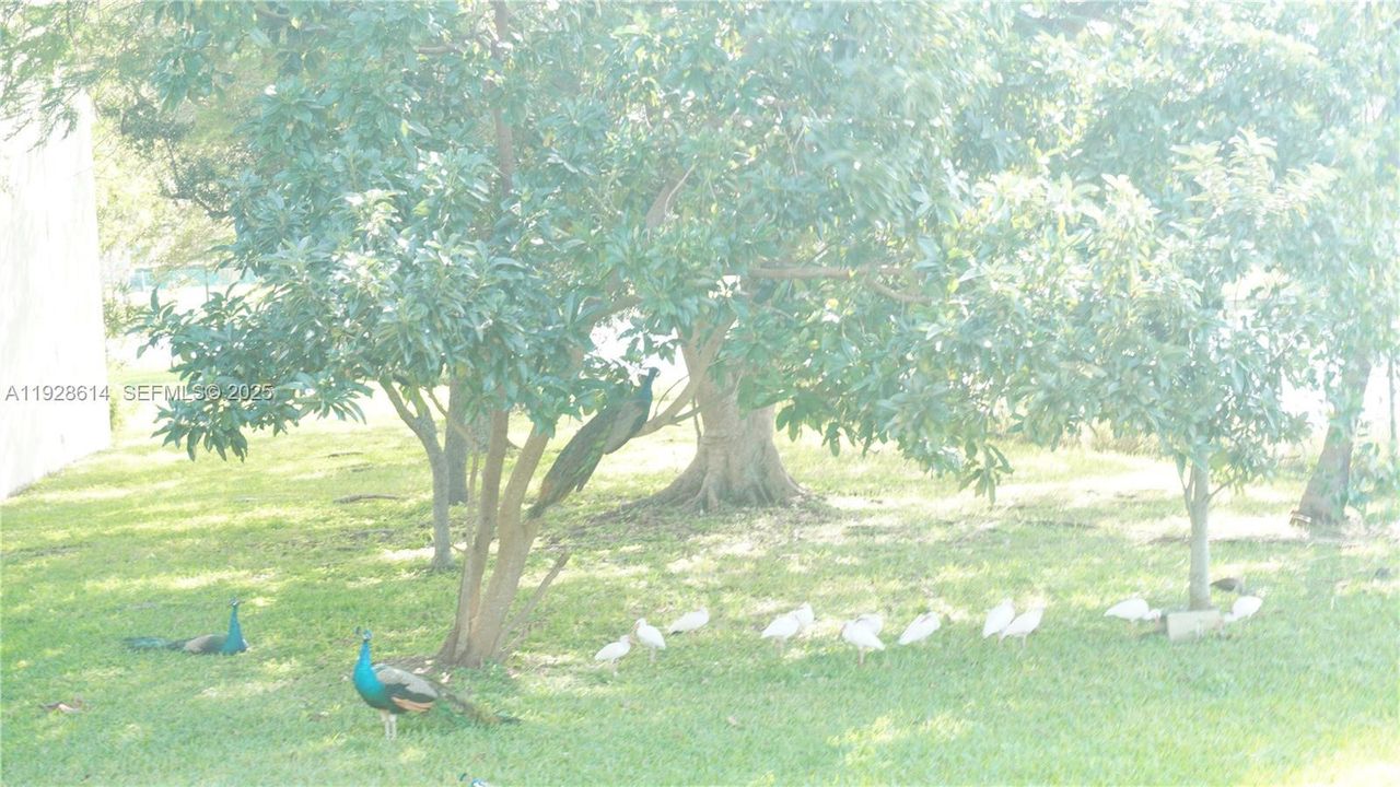 En Renta: $1,575 (1 camas, 1 baños, 670 Pies cuadrados)