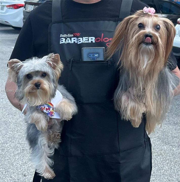 待售: $250,000 (0 贝兹, 0 浴室, 0 平方英尺)