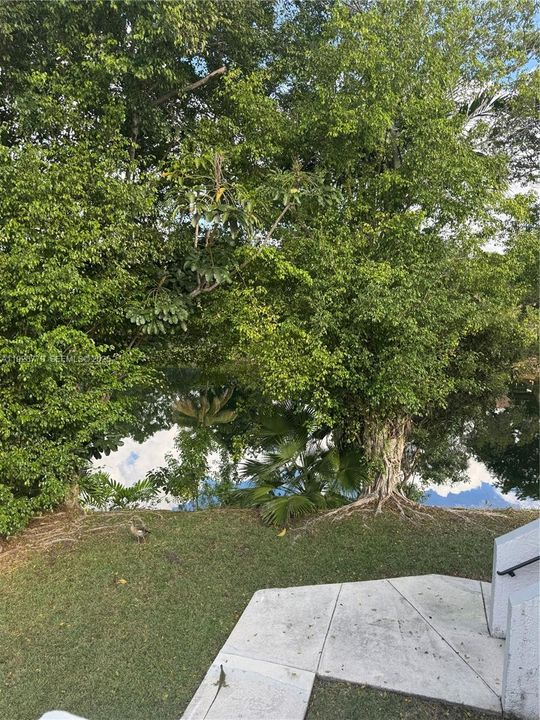 En Renta: $2,000 (2 camas, 2 baños, 950 Pies cuadrados)