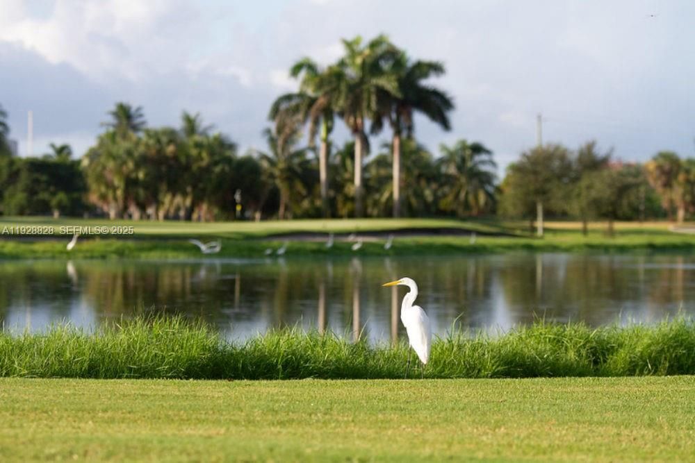 В аренду: $1,900 (2 спален, 2 ванн, 945 Квадратных фут)