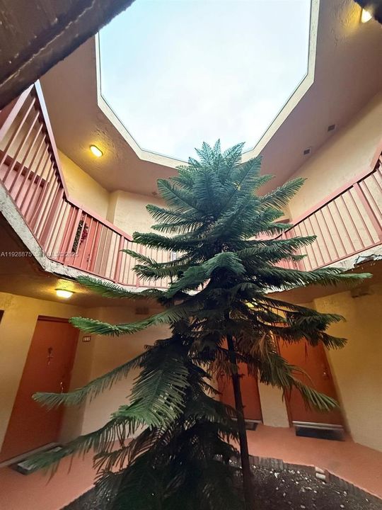 В аренду: $1,800 (2 спален, 2 ванн, 1000 Квадратных фут)