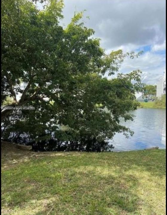 В аренду: $2,400 (2 спален, 2 ванн, 1194 Квадратных фут)