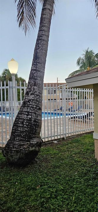 For Rent: $2,400 (2 beds, 2 baths, 1060 Square Feet)