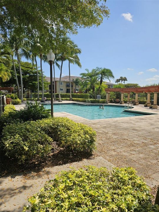 出租: $2,000 (2 贝兹, 2 浴室, 1026 平方英尺)