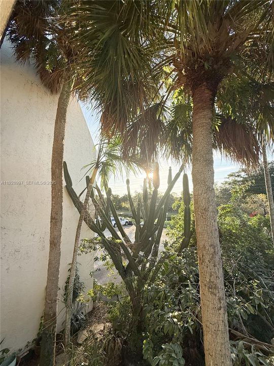 For Rent: $1,850 (2 beds, 2 baths, 900 Square Feet)