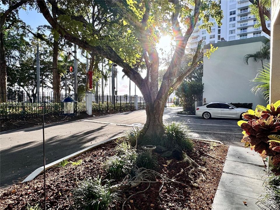 На продажу: $879,000 (2 спален, 2 ванн, 1641 Квадратных фут)