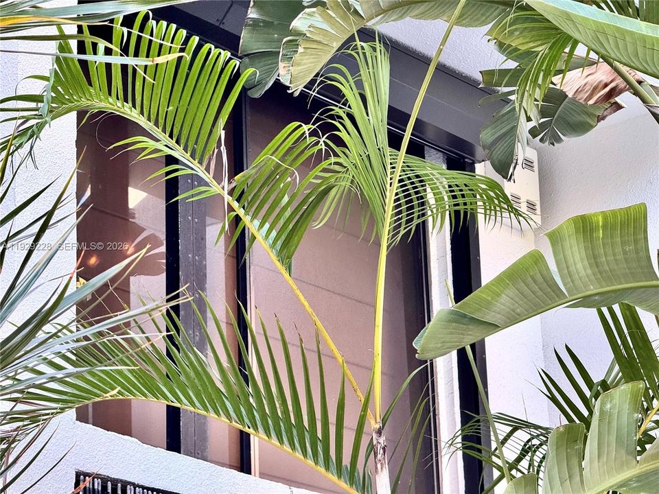 На продажу: $879,000 (2 спален, 2 ванн, 1641 Квадратных фут)