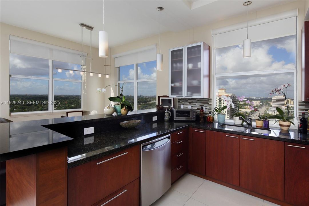 Great building corner northwest view from the granite and stainless steel kitchen with custom crafted European-style 8 feet high wood cabinets
