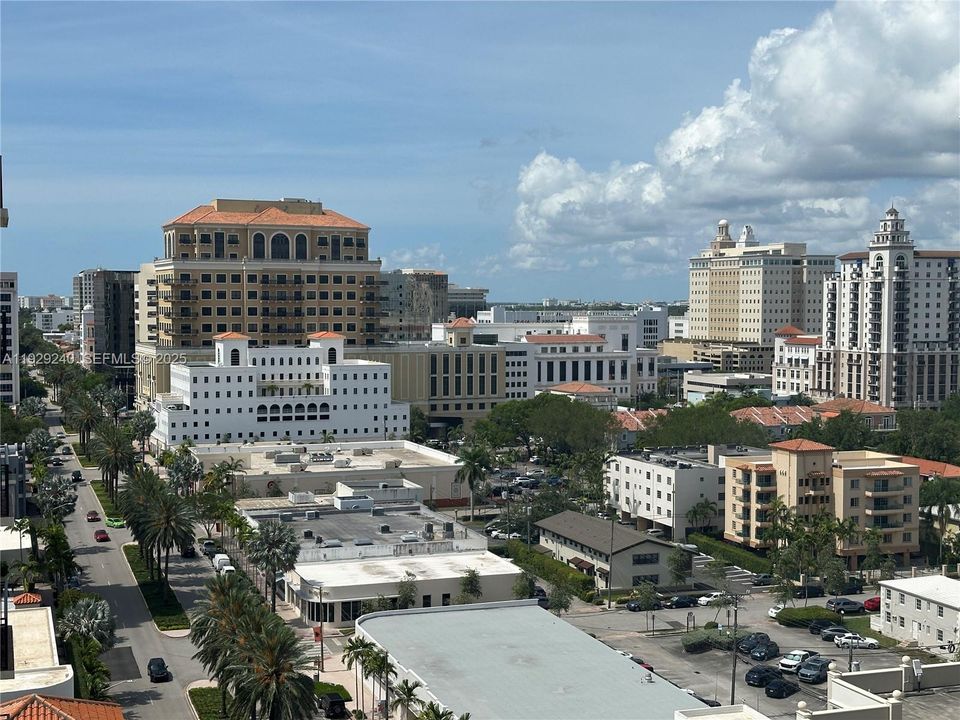 Majestic Palm Tree lined Ponce de Leon Boulevard