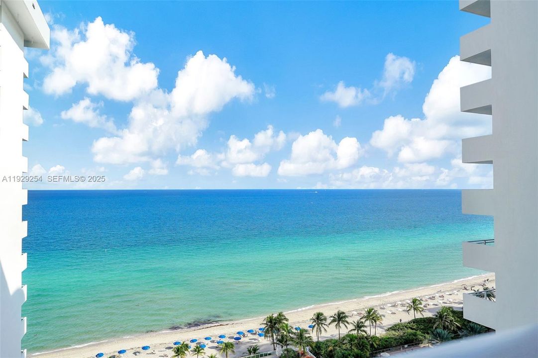 В аренду: $2,750 (1 спален, 1 ванн, 896 Квадратных фут)