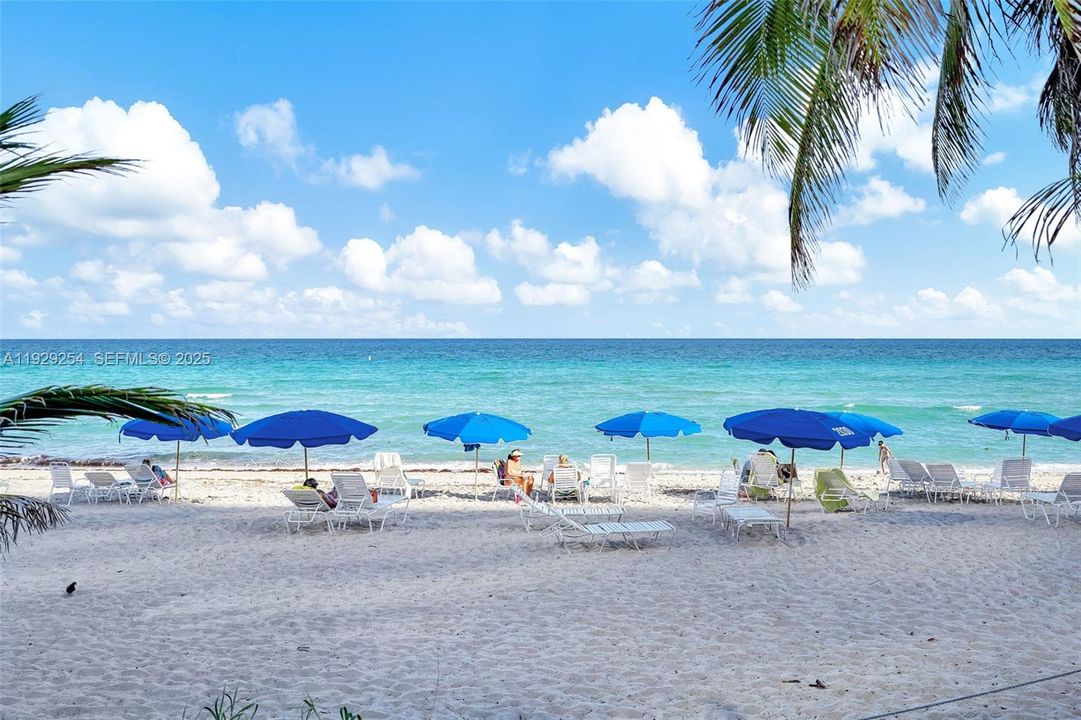 В аренду: $2,750 (1 спален, 1 ванн, 896 Квадратных фут)