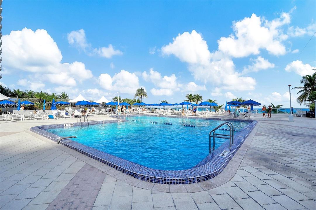 В аренду: $2,750 (1 спален, 1 ванн, 896 Квадратных фут)