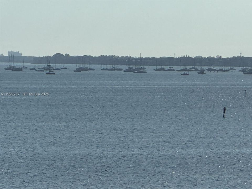 待售: $530,000 (1 贝兹, 1 浴室, 804 平方英尺)