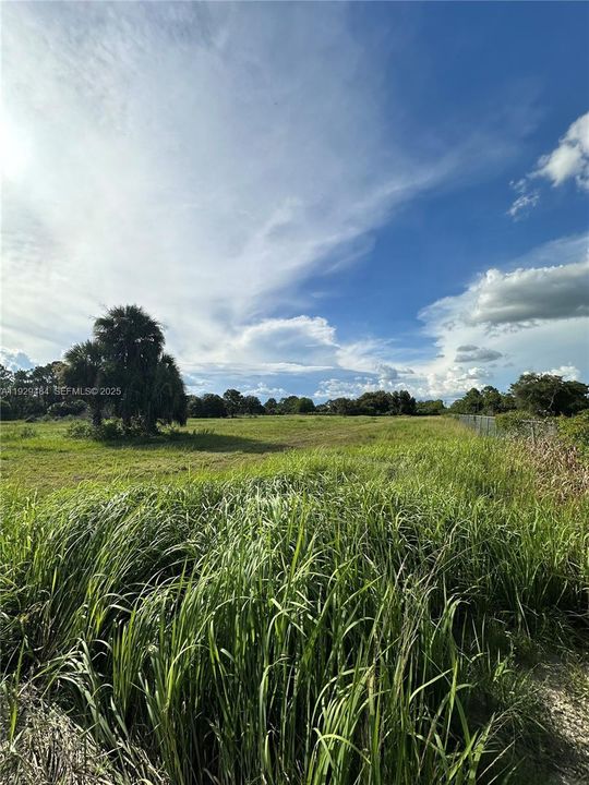 For Sale: $349,900 (5.00 acres)