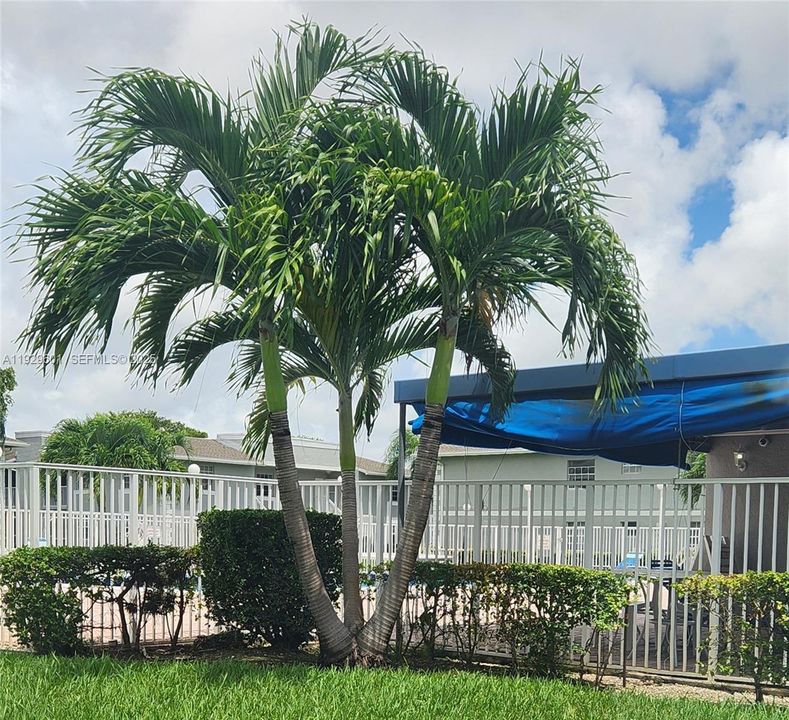 For Sale: $240,000 (2 beds, 2 baths, 1060 Square Feet)