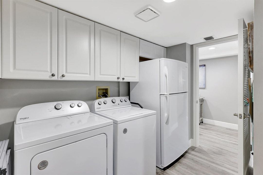 55-web-or-mls-5P1A3126