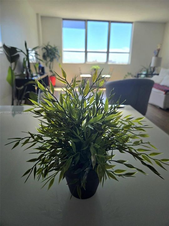 For Rent: $2,800 (1 beds, 1 baths, 953 Square Feet)