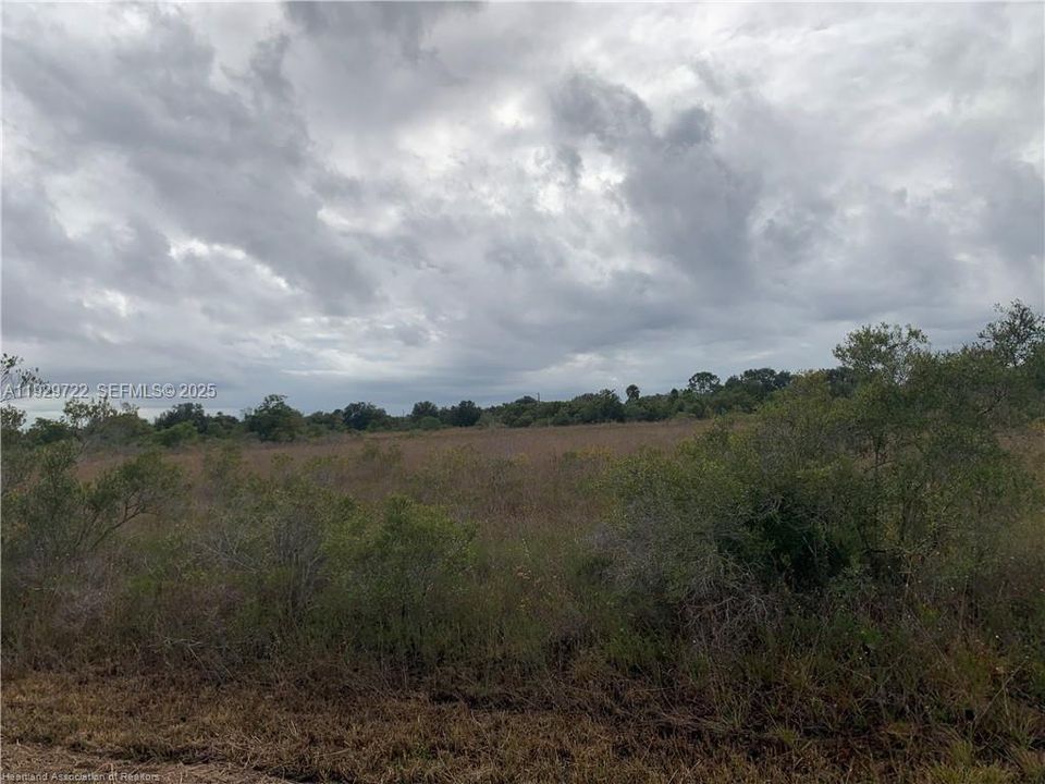 На продажу: $23,900 (1.25 acres)