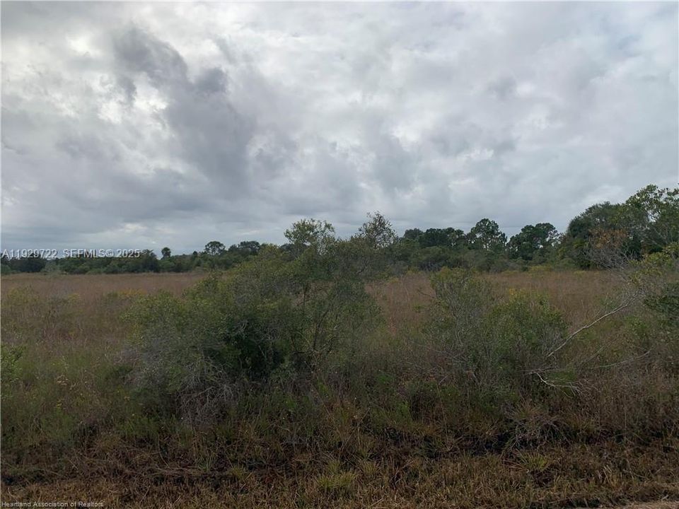 На продажу: $23,900 (1.25 acres)