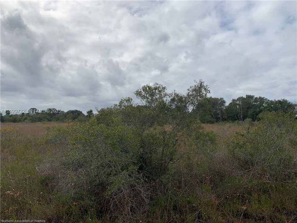 На продажу: $23,900 (1.25 acres)